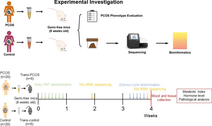 https://cdn.ncbi.nlm.nih.gov/pmc/blobs/56de/11437718/97f50b8d1d67/12866_2024_3513_Fig1_HTML.jpg