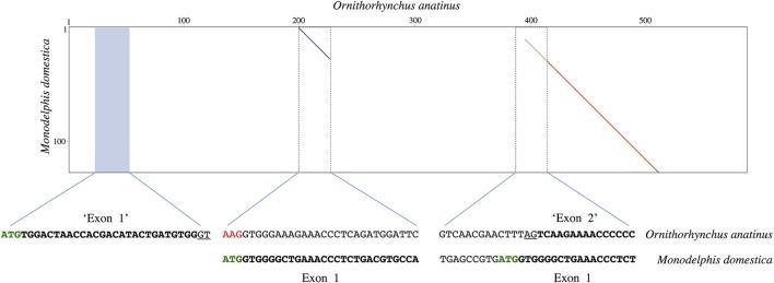 https://cdn.ncbi.nlm.nih.gov/pmc/blobs/56df/5611445/429bfebeff5a/fphys-08-00670-g0003.jpg