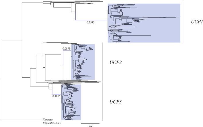 https://cdn.ncbi.nlm.nih.gov/pmc/blobs/56df/5611445/8caf4f4ce4b0/fphys-08-00670-g0001.jpg
