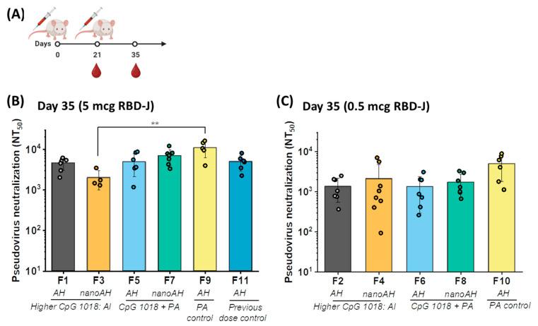 https://cdn.ncbi.nlm.nih.gov/pmc/blobs/56e0/10303432/33def9b415f4/vaccines-11-01030-g004.jpg