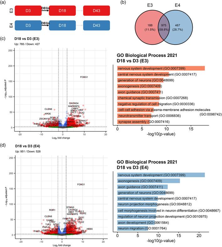 https://cdn.ncbi.nlm.nih.gov/pmc/blobs/56e0/10947111/54b2e24bf022/HIPO-33-322-g013.jpg