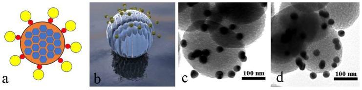 https://cdn.ncbi.nlm.nih.gov/pmc/blobs/56e1/6073571/727bf92ddf10/ijms-19-01991-g010.jpg