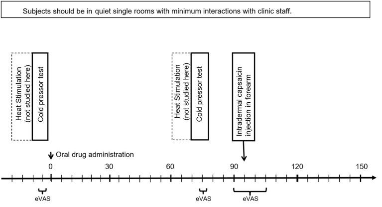 https://cdn.ncbi.nlm.nih.gov/pmc/blobs/56e1/8983966/b746dbdfbda3/fpain-03-764128-g0001.jpg