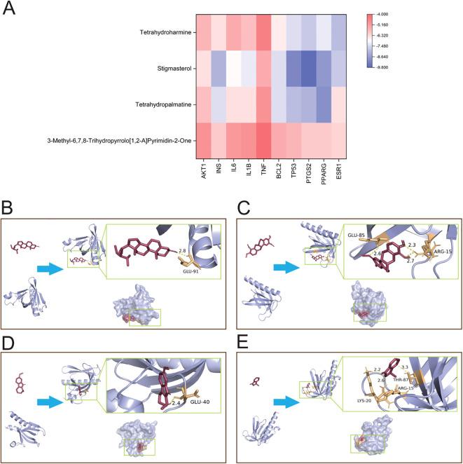 https://cdn.ncbi.nlm.nih.gov/pmc/blobs/56e2/11931053/ca105461fa4a/fimmu-16-1559400-g003.jpg