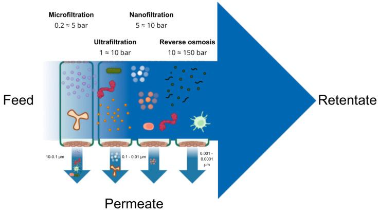 https://cdn.ncbi.nlm.nih.gov/pmc/blobs/56e4/11509346/61ac65ca5835/membranes-14-00209-g003.jpg