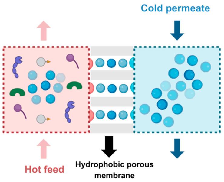 https://cdn.ncbi.nlm.nih.gov/pmc/blobs/56e4/11509346/c3a67fa46c39/membranes-14-00209-g005.jpg