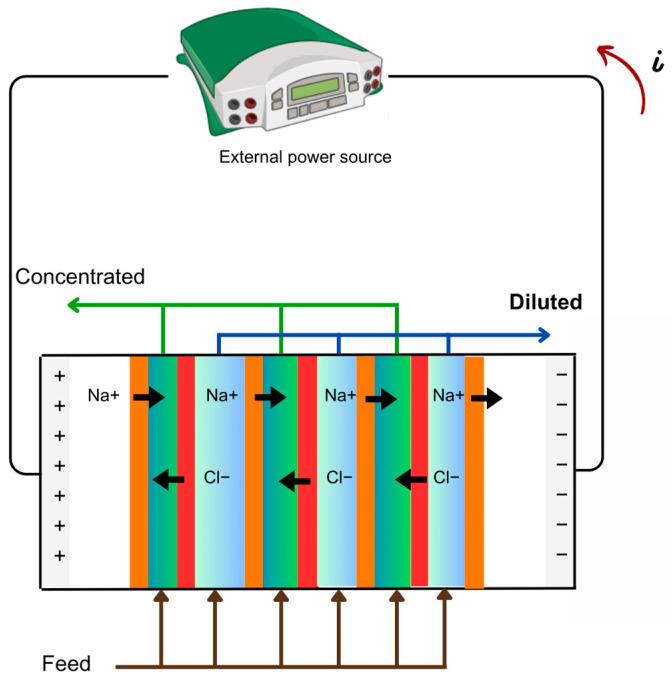 https://cdn.ncbi.nlm.nih.gov/pmc/blobs/56e4/11509346/f7eb3e79d668/membranes-14-00209-g004.jpg