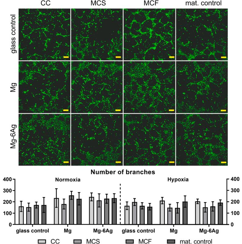 https://cdn.ncbi.nlm.nih.gov/pmc/blobs/56e5/9108521/87e2eb1b354f/gr8b.jpg
