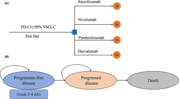 https://cdn.ncbi.nlm.nih.gov/pmc/blobs/56e7/8446572/e4286b355f84/CAM4-10-6344-g006.jpg