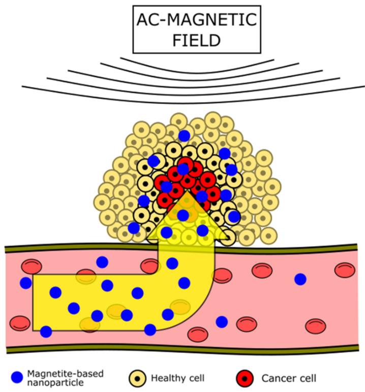 https://cdn.ncbi.nlm.nih.gov/pmc/blobs/56e7/9182445/9bcf2ce54063/nanomaterials-12-01807-g002.jpg