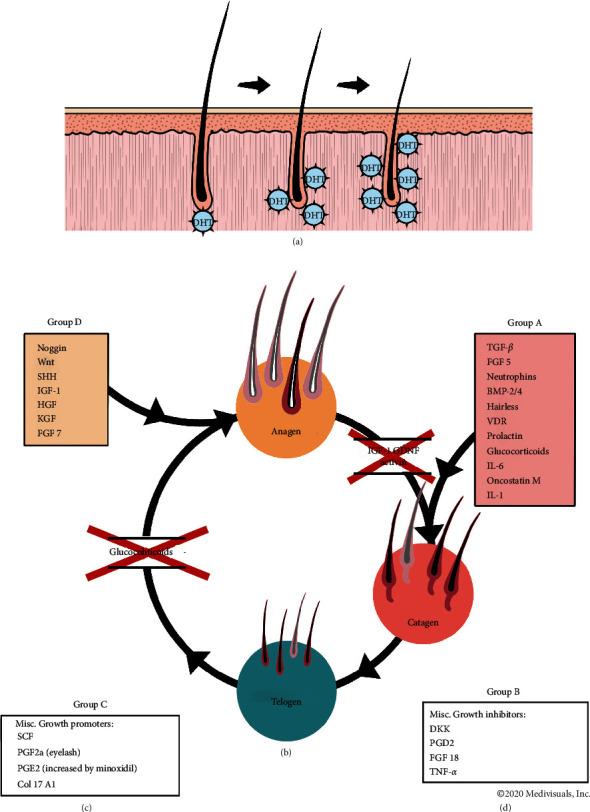 https://cdn.ncbi.nlm.nih.gov/pmc/blobs/56e8/7878086/660e7cc3791f/CRIDM2021-6659943.001.jpg