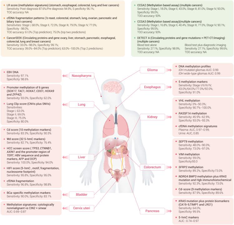 https://cdn.ncbi.nlm.nih.gov/pmc/blobs/56e8/9133648/0587166dbc33/gr2.jpg