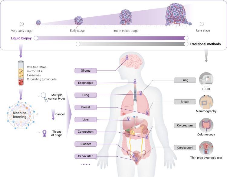https://cdn.ncbi.nlm.nih.gov/pmc/blobs/56e8/9133648/19d87634e72c/gr1.jpg