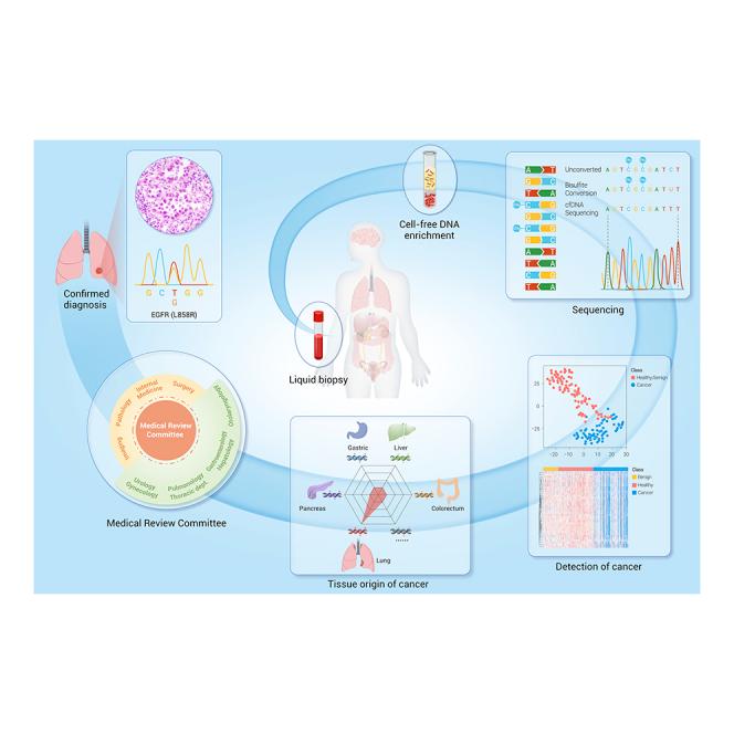 https://cdn.ncbi.nlm.nih.gov/pmc/blobs/56e8/9133648/488ba8653e46/fx1.jpg