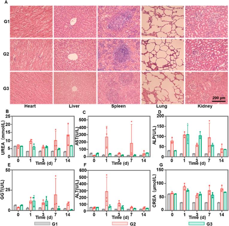 https://cdn.ncbi.nlm.nih.gov/pmc/blobs/56e9/11647226/6cac7ba9a08e/gr6.jpg