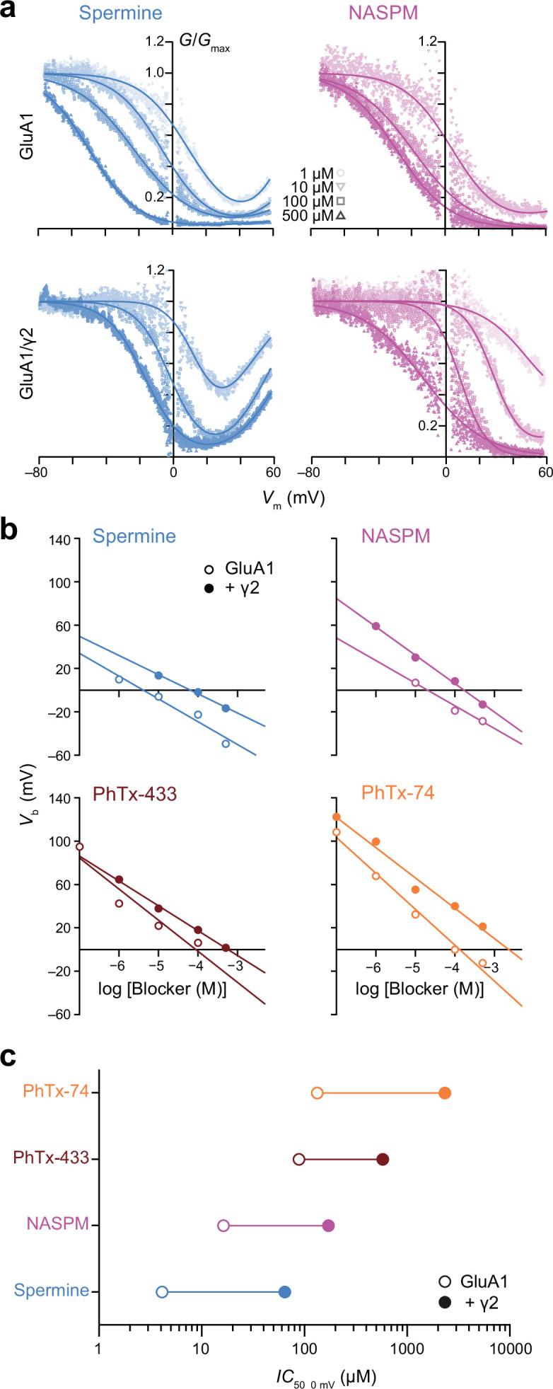 https://cdn.ncbi.nlm.nih.gov/pmc/blobs/56ea/10168695/1de8ea9d080d/elife-66765-fig2.jpg