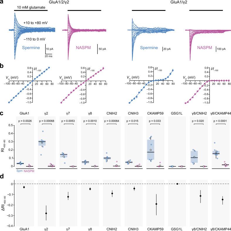 https://cdn.ncbi.nlm.nih.gov/pmc/blobs/56ea/10168695/53204978c030/elife-66765-fig4.jpg