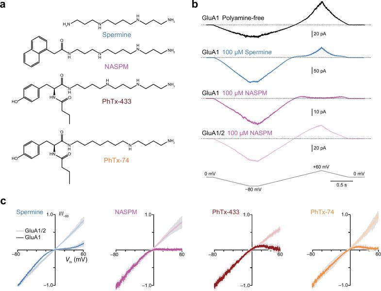 https://cdn.ncbi.nlm.nih.gov/pmc/blobs/56ea/10168695/82f0687a4db5/elife-66765-fig1.jpg