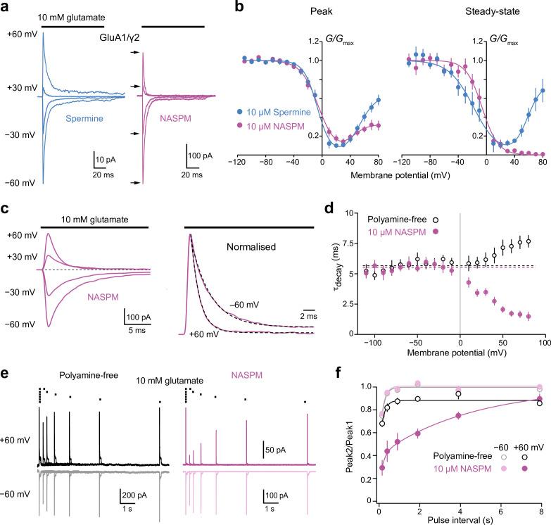 https://cdn.ncbi.nlm.nih.gov/pmc/blobs/56ea/10168695/8bf901080ed4/elife-66765-fig3.jpg