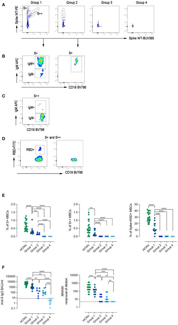 https://cdn.ncbi.nlm.nih.gov/pmc/blobs/56ed/10248522/a9ac1e8f1206/fimmu-14-1194225-g003.jpg