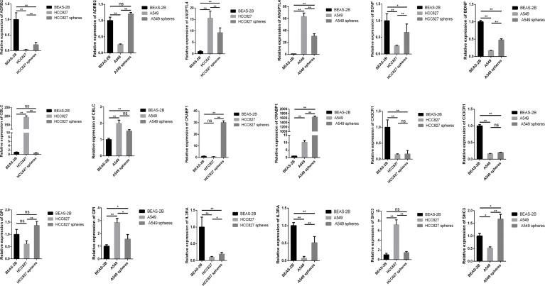 https://cdn.ncbi.nlm.nih.gov/pmc/blobs/56ed/9271778/186d48960c5f/fimmu-13-829057-g009.jpg