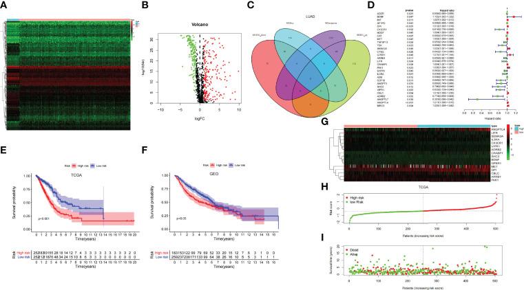 https://cdn.ncbi.nlm.nih.gov/pmc/blobs/56ed/9271778/6314e8d1c150/fimmu-13-829057-g004.jpg