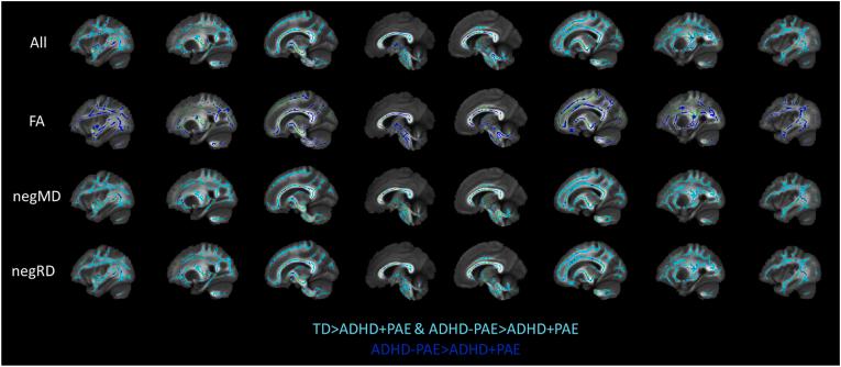 https://cdn.ncbi.nlm.nih.gov/pmc/blobs/56ee/12172766/422726a0aebe/gr1.jpg
