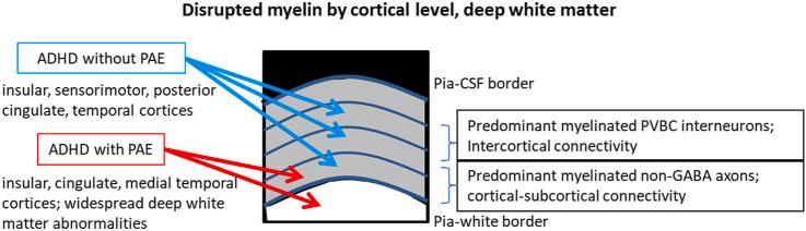 https://cdn.ncbi.nlm.nih.gov/pmc/blobs/56ee/12172766/ab2dc96b550b/ga1.jpg