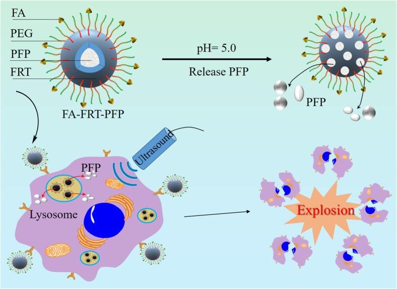 https://cdn.ncbi.nlm.nih.gov/pmc/blobs/56ee/6997325/281308f746c0/11671_2020_3252_Fig1_HTML.jpg