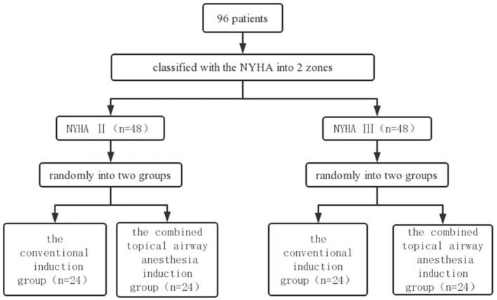 https://cdn.ncbi.nlm.nih.gov/pmc/blobs/56ee/9589145/e51ee6fe285a/fcvm-09-992534-g0002.jpg