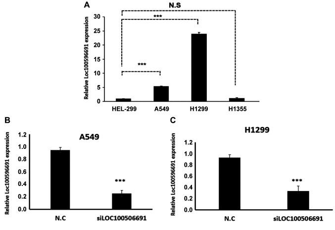 https://cdn.ncbi.nlm.nih.gov/pmc/blobs/56f1/12402720/315f1b003f6b/cgp-22-782-g0001.jpg