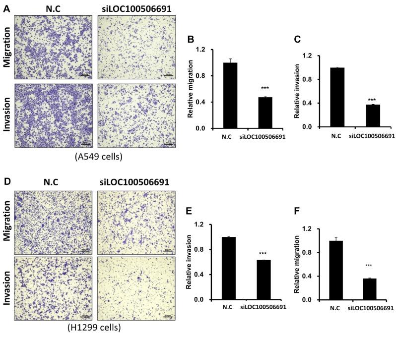 https://cdn.ncbi.nlm.nih.gov/pmc/blobs/56f1/12402720/c483ff2b198e/cgp-22-784-g0001.jpg