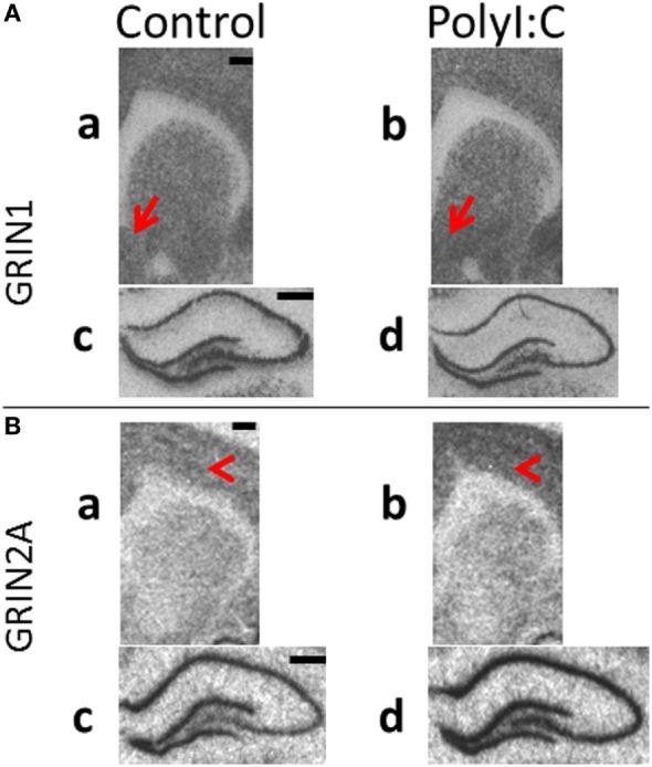 https://cdn.ncbi.nlm.nih.gov/pmc/blobs/56f1/5591421/920fc32897f8/fpsyt-08-00077-g006.jpg