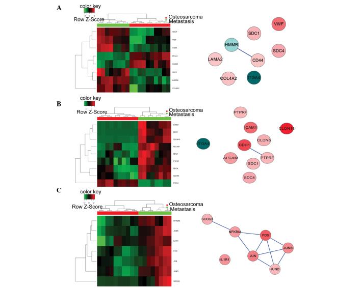 https://cdn.ncbi.nlm.nih.gov/pmc/blobs/56f2/4665845/c1d0780a5a09/etm-10-05-1796-g03.jpg