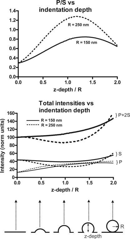 https://cdn.ncbi.nlm.nih.gov/pmc/blobs/56f4/2819686/74e16ce27726/JCB_200908010_GS_Fig4.jpg