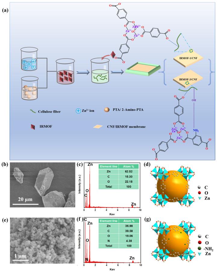 https://cdn.ncbi.nlm.nih.gov/pmc/blobs/56f5/12115699/4404f570aef1/sensors-25-03232-g001.jpg