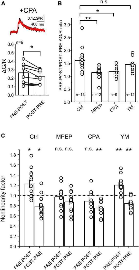 https://cdn.ncbi.nlm.nih.gov/pmc/blobs/56f9/10113460/c5eb221e3ddf/fncel-17-1068472-g004.jpg