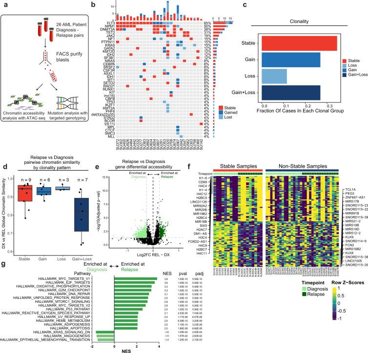 https://cdn.ncbi.nlm.nih.gov/pmc/blobs/56fa/11034943/09c8ca4ba93a/elife-93019-fig2.jpg