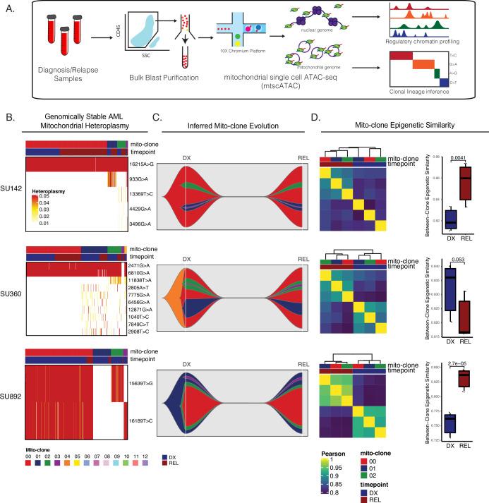 https://cdn.ncbi.nlm.nih.gov/pmc/blobs/56fa/11034943/ffec86c9864b/elife-93019-fig5.jpg