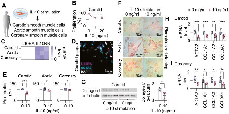 https://cdn.ncbi.nlm.nih.gov/pmc/blobs/56fa/12284285/02c4ef2f6a09/gr7.jpg
