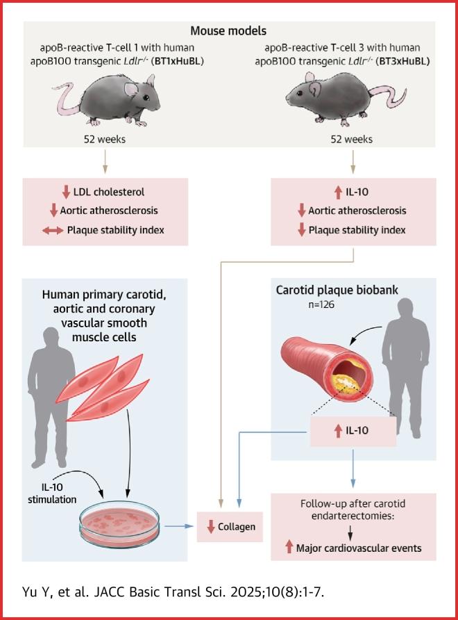 https://cdn.ncbi.nlm.nih.gov/pmc/blobs/56fa/12284285/0b9737d4ec0e/ga1.jpg