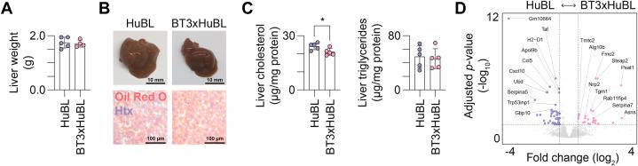 https://cdn.ncbi.nlm.nih.gov/pmc/blobs/56fa/12284285/d9e302020e64/gr3.jpg