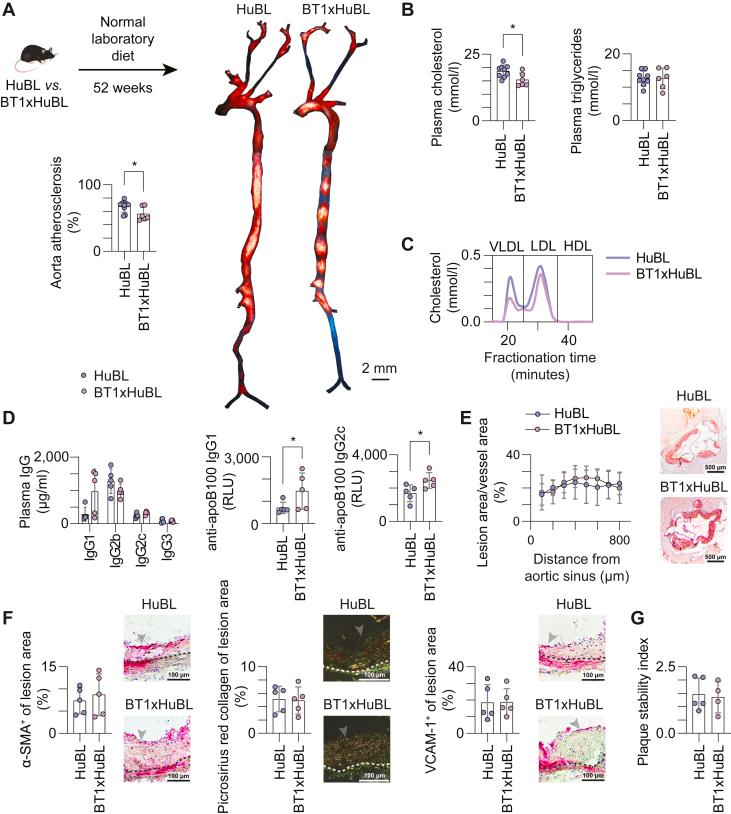 https://cdn.ncbi.nlm.nih.gov/pmc/blobs/56fa/12284285/e741cf0909a2/gr1.jpg