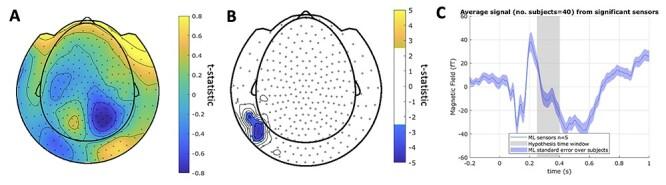 https://cdn.ncbi.nlm.nih.gov/pmc/blobs/56fa/9340400/89ecc8542388/bhab417f5.jpg