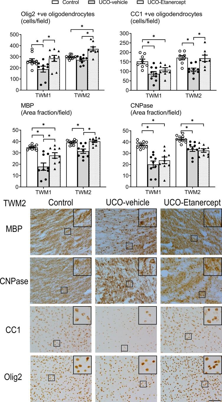https://cdn.ncbi.nlm.nih.gov/pmc/blobs/56fb/10115165/f63769783e58/awac331f2.jpg