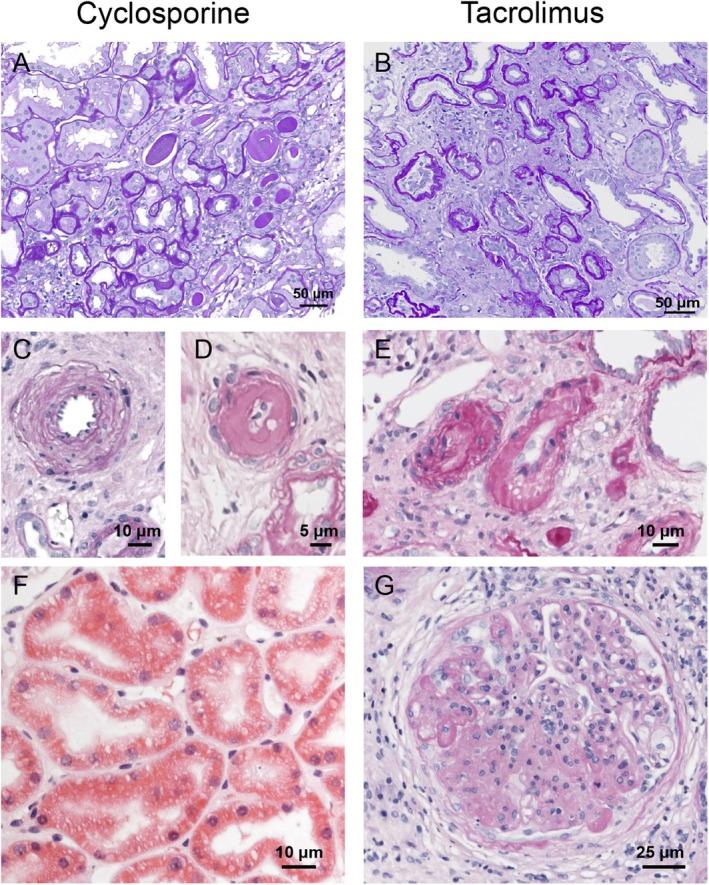 https://cdn.ncbi.nlm.nih.gov/pmc/blobs/56fb/12005075/76188c42e8a8/APHA-241-e70047-g001.jpg