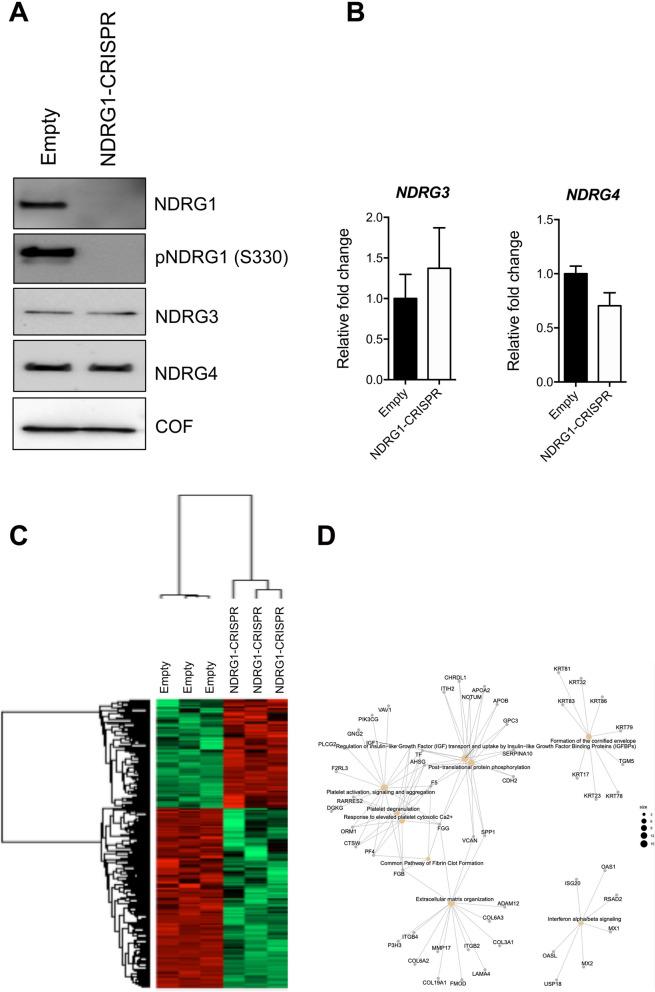 https://cdn.ncbi.nlm.nih.gov/pmc/blobs/56fc/11686873/3b352357c96b/13578_2024_1336_Fig9_HTML.jpg