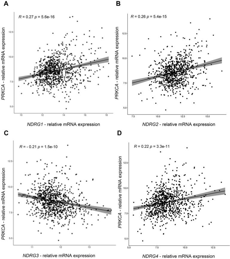 https://cdn.ncbi.nlm.nih.gov/pmc/blobs/56fc/11686873/45afbf31cae8/13578_2024_1336_Fig5_HTML.jpg