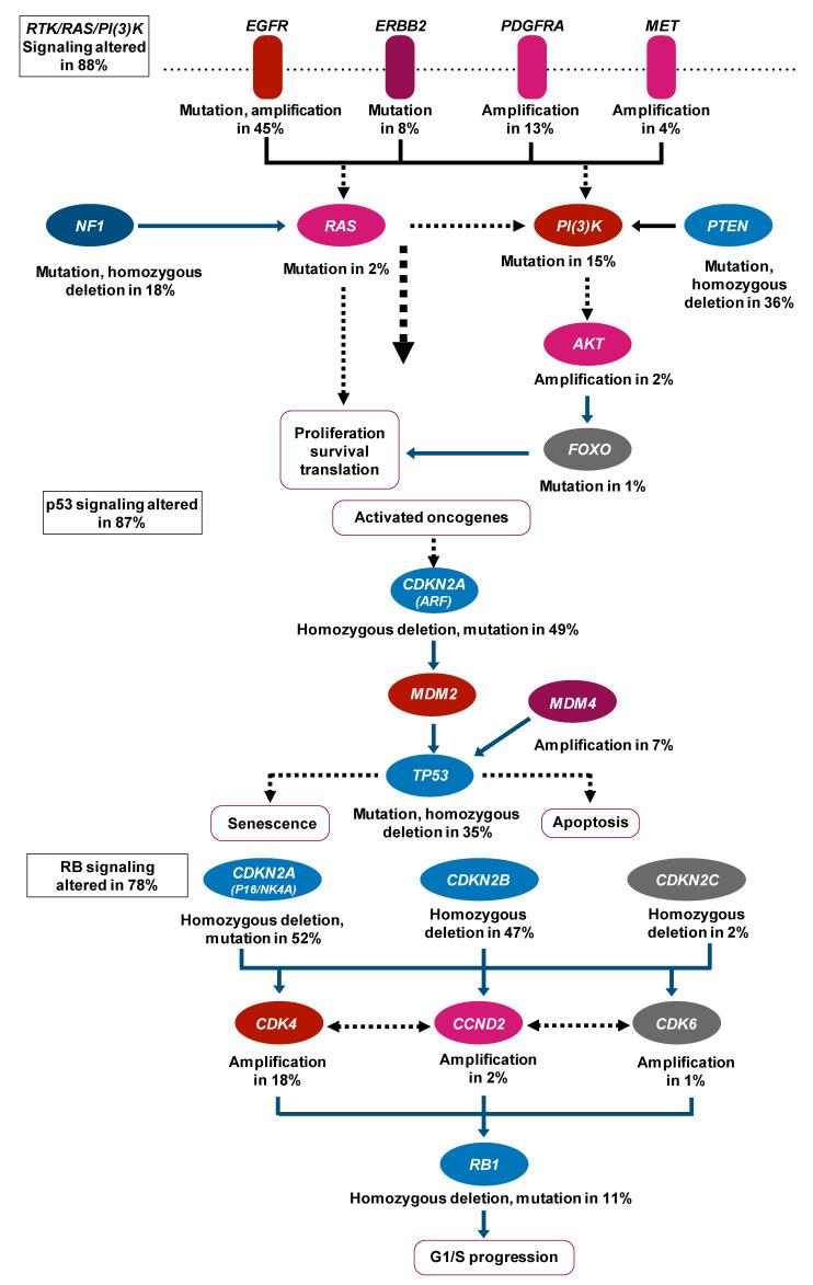 https://cdn.ncbi.nlm.nih.gov/pmc/blobs/56ff/8070530/169e240c6dbe/biomolecules-11-00565-g002.jpg