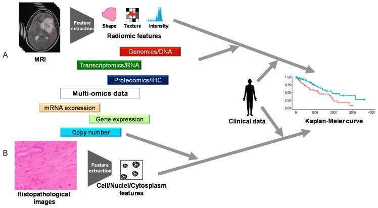 https://cdn.ncbi.nlm.nih.gov/pmc/blobs/56ff/8070530/ca4e3a62cb86/biomolecules-11-00565-g004.jpg